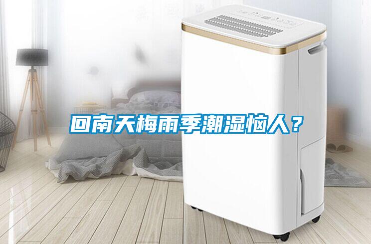 回南天梅雨季潮濕惱人？