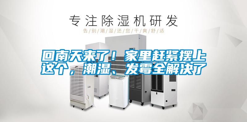 回南天來(lái)了！家里趕緊擺上這個(gè)，潮濕、發(fā)霉全解決了