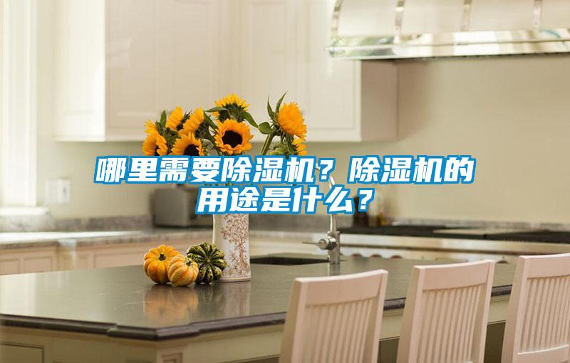 哪里需要除濕機？除濕機的用途是什么？