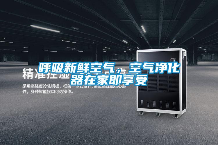 呼吸新鮮空氣，空氣凈化器在家即享受