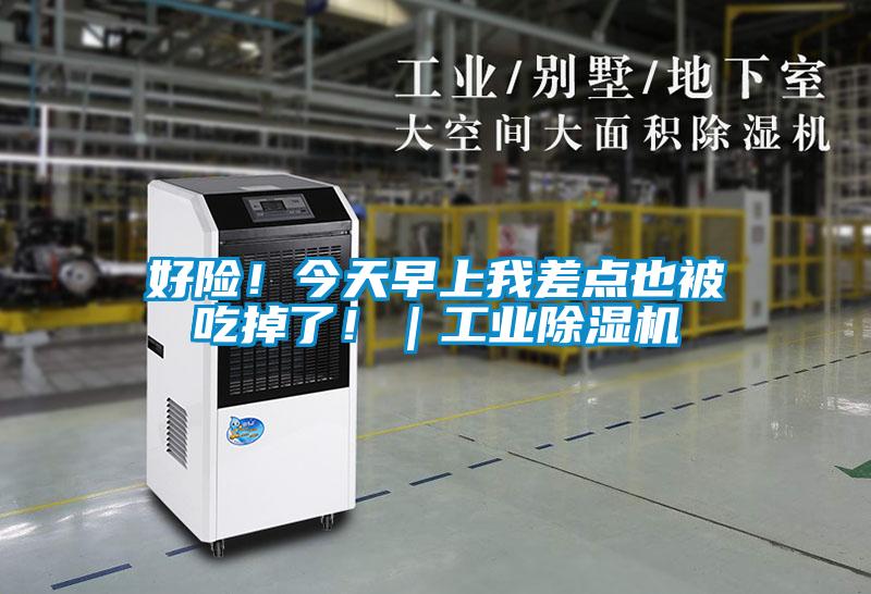 好險(xiǎn)！今天早上我差點(diǎn)也被吃掉了?。I(yè)除濕機(jī)