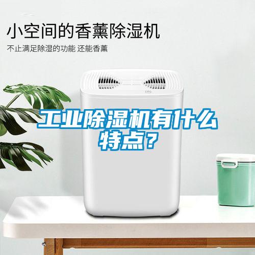 工業(yè)除濕機有什么特點？