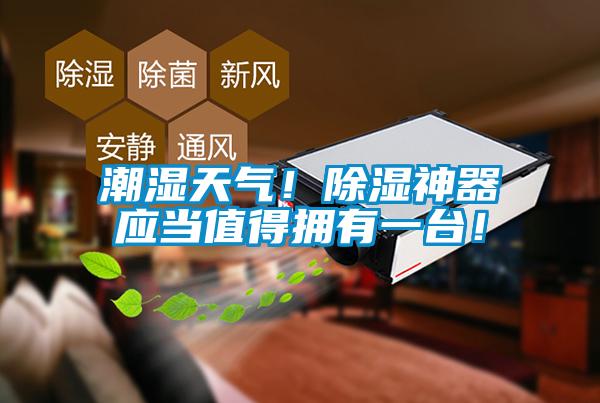 潮濕天氣！除濕神器應(yīng)當(dāng)值得擁有一臺(tái)！