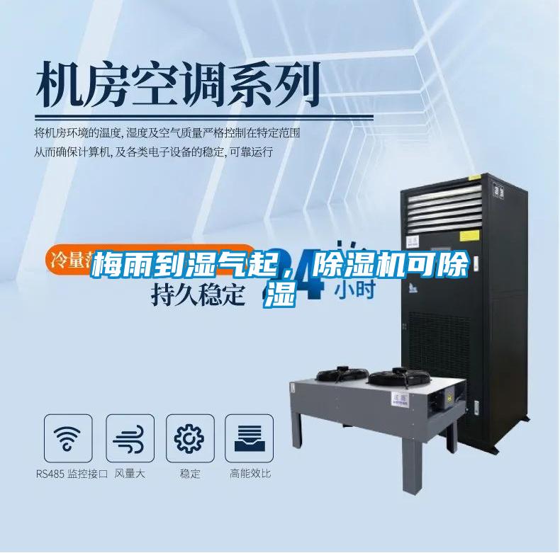 梅雨到濕氣起，除濕機(jī)可除濕