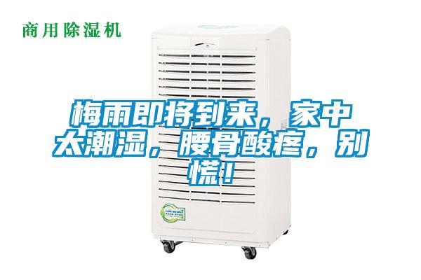 梅雨即將到來，家中太潮濕，腰骨酸疼，別慌！