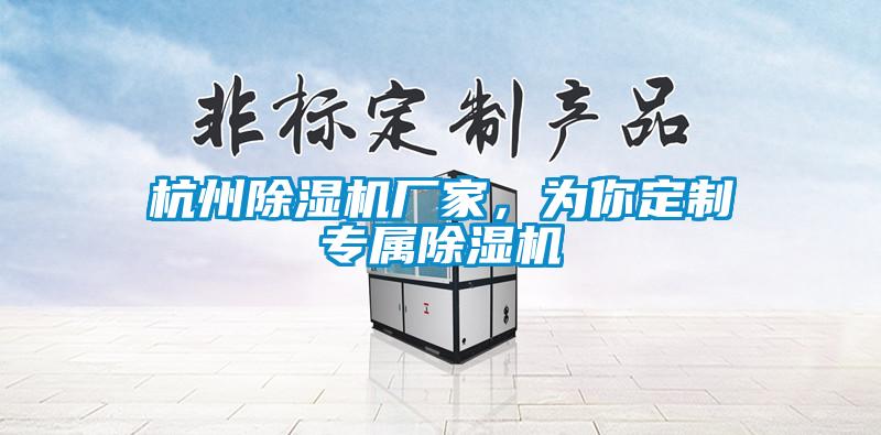 杭州除濕機(jī)廠家，為你定制專屬除濕機(jī)