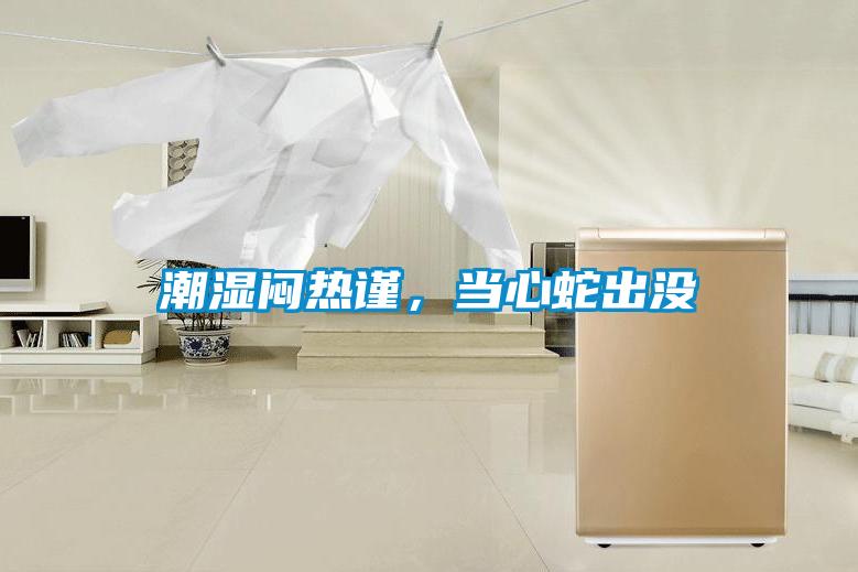 潮濕悶熱謹(jǐn)，當(dāng)心蛇出沒