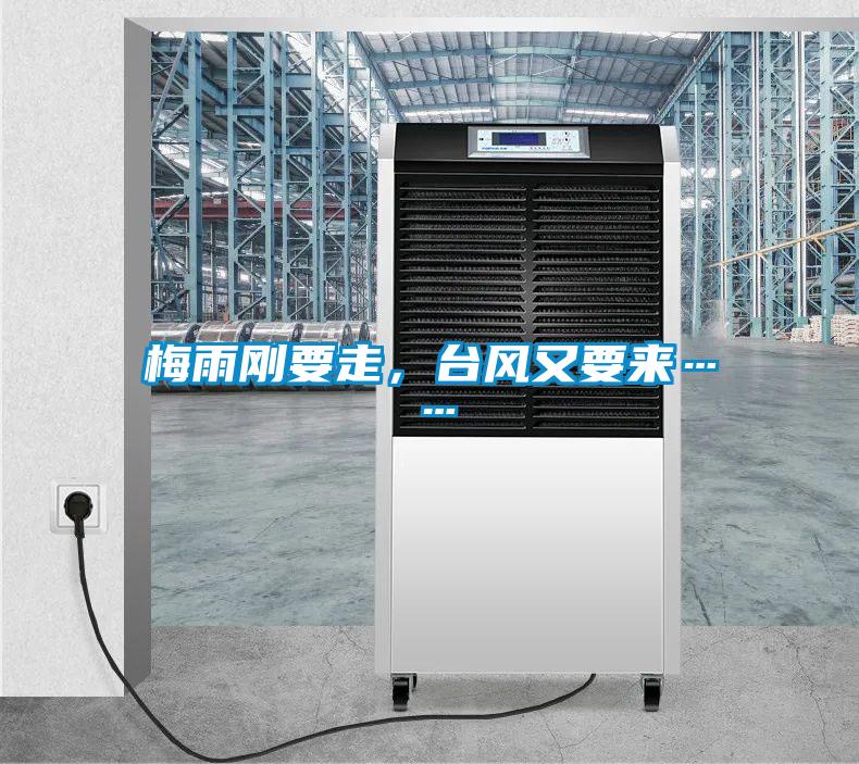 梅雨剛要走，臺(tái)風(fēng)又要來(lái)……
