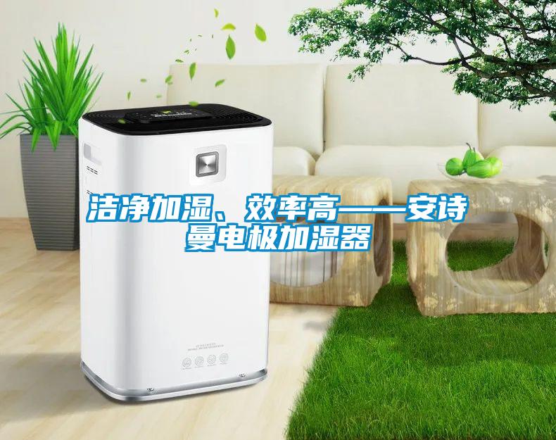 潔凈加濕、效率高——安詩(shī)曼電極加濕器