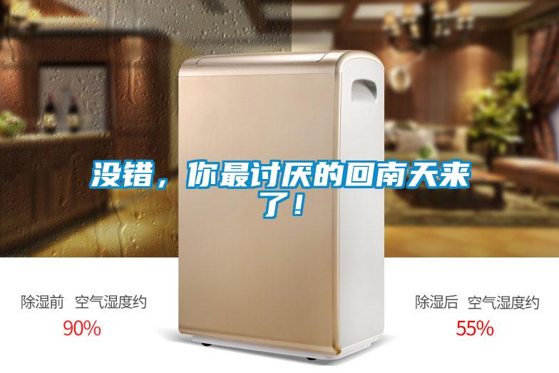 沒錯，你最討厭的回南天來了！