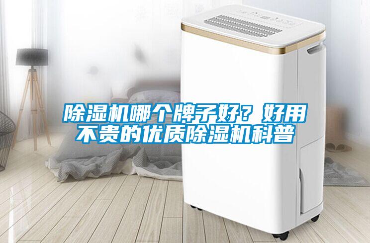 除濕機哪個牌子好？好用不貴的優(yōu)質(zhì)除濕機科普