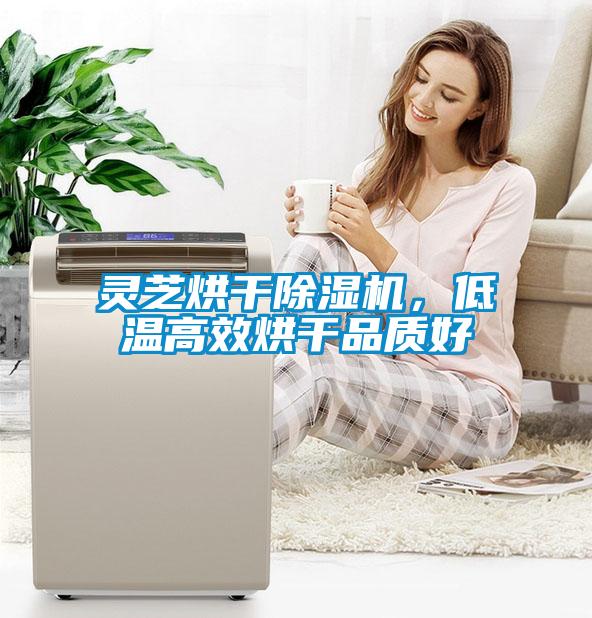 靈芝烘干除濕機，低溫高效烘干品質(zhì)好