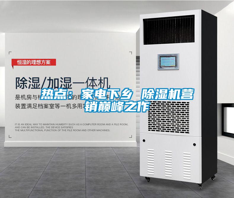 熱點(diǎn)：家電下鄉(xiāng) 除濕機(jī)營(yíng)銷(xiāo)巔峰之作