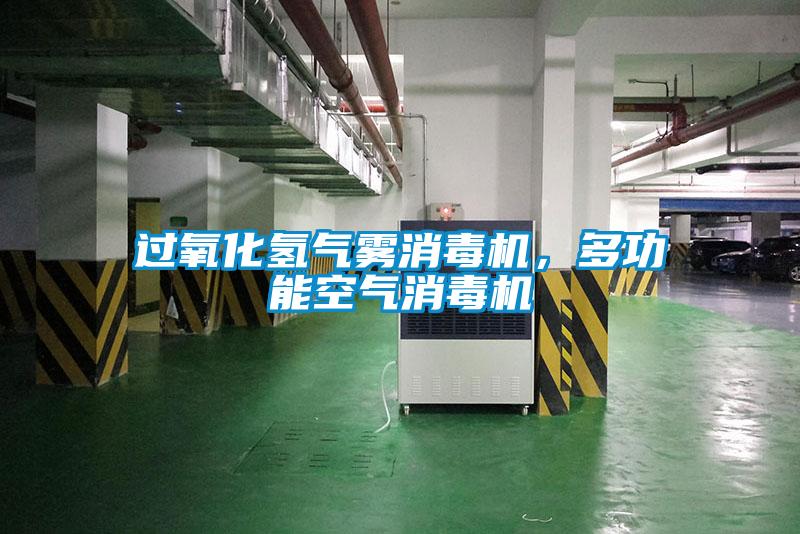 過(guò)氧化氫氣霧消毒機(jī)，多功能空氣消毒機(jī)