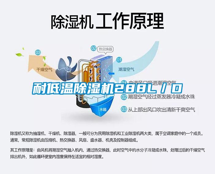 耐低溫除濕機(jī)288L/D