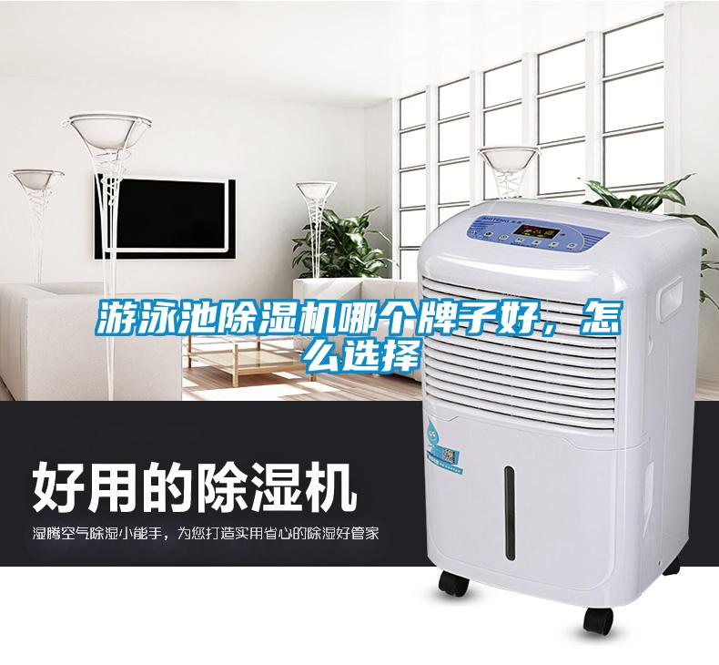 游泳池除濕機哪個牌子好，怎么選擇