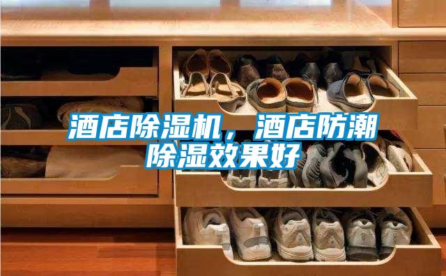 酒店除濕機(jī)，酒店防潮除濕效果好
