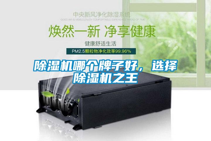 除濕機(jī)哪個(gè)牌子好，選擇除濕機(jī)之王
