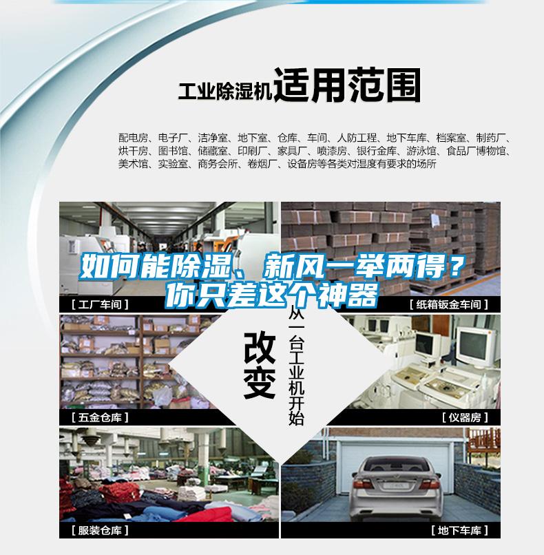 如何能除濕、新風(fēng)一舉兩得？你只差這個神器