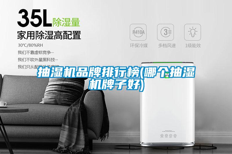 抽濕機(jī)品牌排行榜(哪個抽濕機(jī)牌子好)