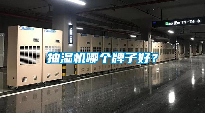 抽濕機哪個牌子好？
