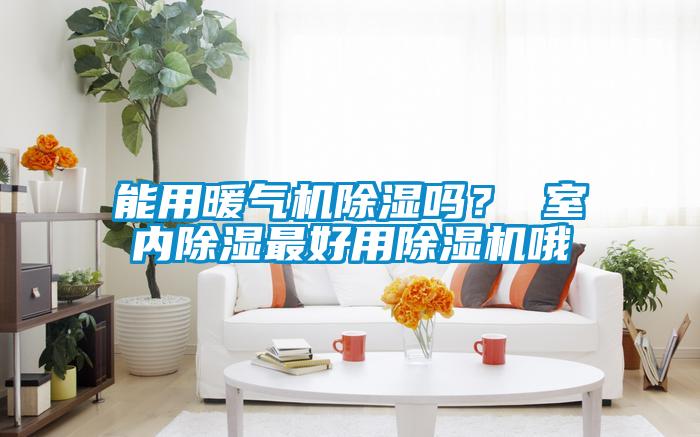 能用暖氣機除濕嗎？ 室內(nèi)除濕最好用除濕機哦
