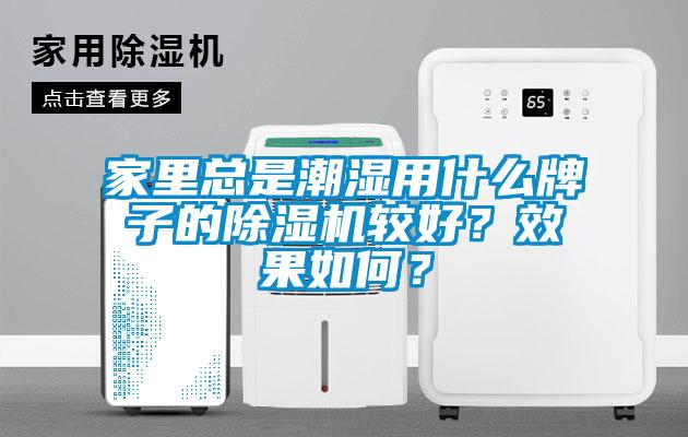 家里總是潮濕用什么牌子的除濕機較好？效果如何？