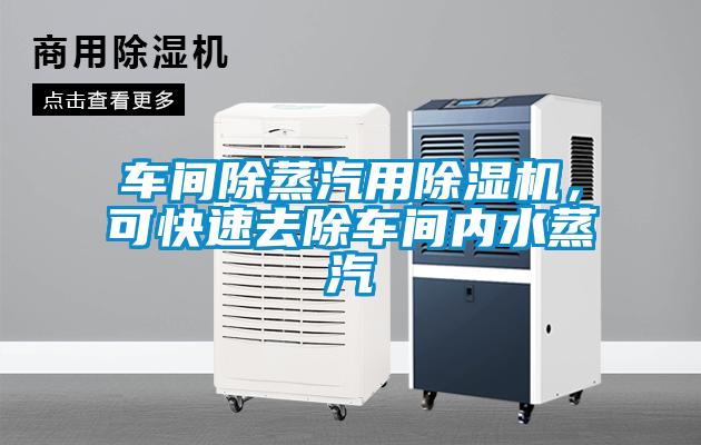 車間除蒸汽用除濕機(jī)，可快速去除車間內(nèi)水蒸汽