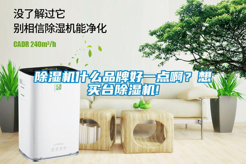 除濕機什么品牌好一點??？想買臺除濕機!
