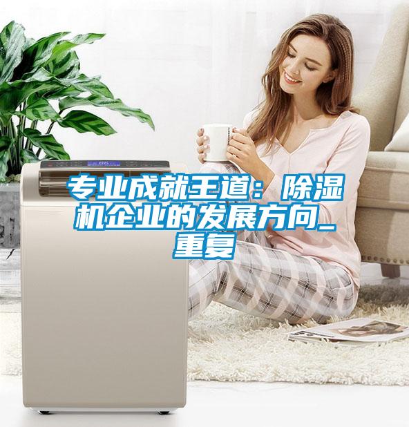 專(zhuān)業(yè)成就王道：除濕機(jī)企業(yè)的發(fā)展方向_重復(fù)