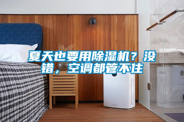 夏天也要用除濕機(jī)？沒錯，空調(diào)都管不住