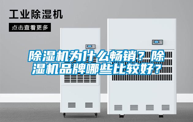 除濕機為什么暢銷？除濕機品牌哪些比較好？