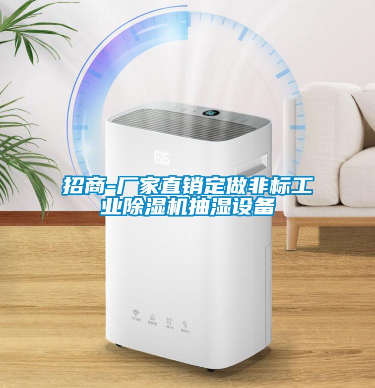 招商-廠家直銷定做非標工業(yè)除濕機抽濕設(shè)備