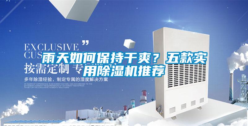 雨天如何保持干爽？五款實(shí)用除濕機(jī)推薦