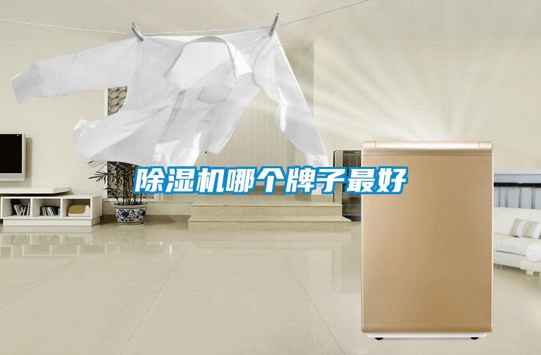 除濕機(jī)哪個牌子最好
