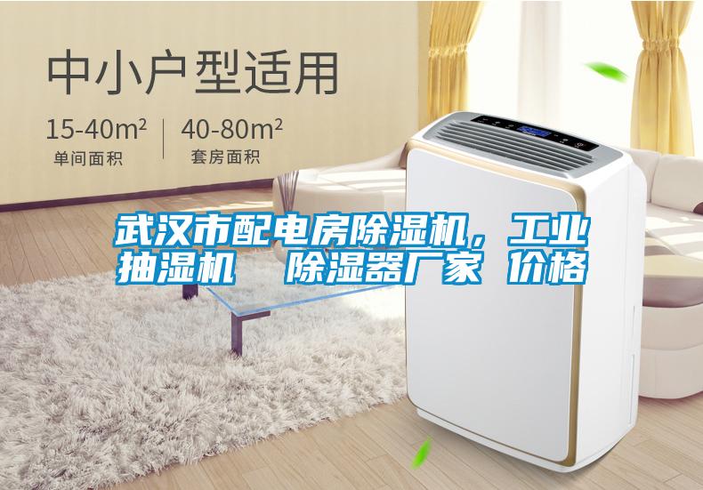 武漢市配電房除濕機(jī)，工業(yè)抽濕機(jī)  除濕器廠家 價(jià)格