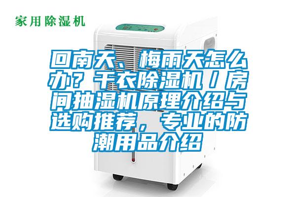 回南天、梅雨天怎么辦？干衣除濕機(jī)／房間抽濕機(jī)原理介紹與選購(gòu)?fù)扑]，專業(yè)的防潮用品介紹