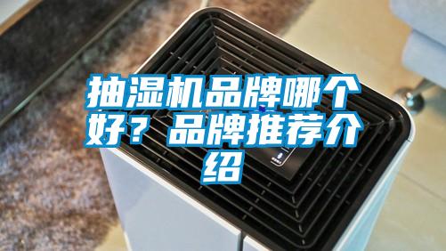 抽濕機品牌哪個好？品牌推薦介紹
