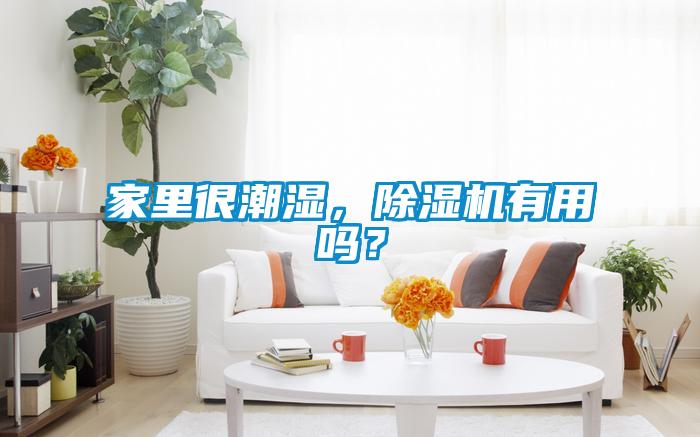 家里很潮濕，除濕機(jī)有用嗎？