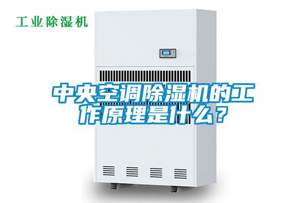 中央空調(diào)除濕機(jī)的工作原理是什么？