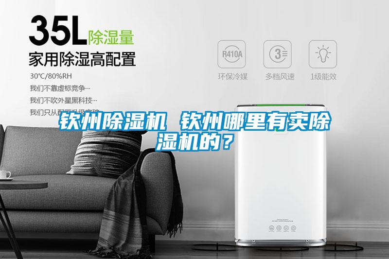 欽州除濕機(jī) 欽州哪里有賣(mài)除濕機(jī)的？