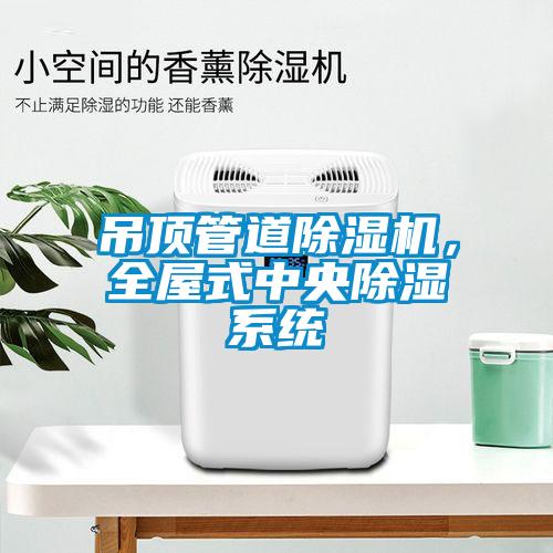 吊頂管道除濕機，全屋式中央除濕系統(tǒng)