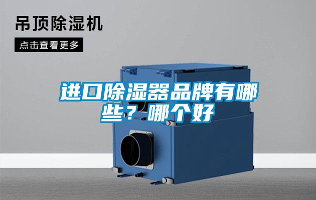 進口除濕器品牌有哪些？哪個好