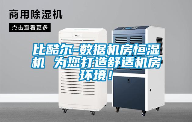 比酷爾-數(shù)據(jù)機房恒濕機 為您打造舒適機房環(huán)境！