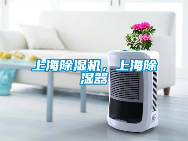 上海除濕機(jī)，上海除濕器