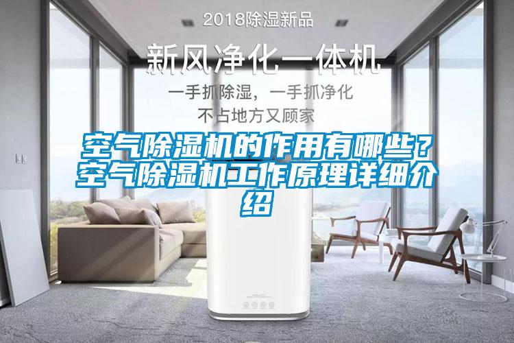 空氣除濕機(jī)的作用有哪些？空氣除濕機(jī)工作原理詳細(xì)介紹