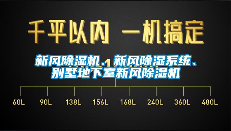 新風(fēng)除濕機(jī)、新風(fēng)除濕系統(tǒng)、別墅地下室新風(fēng)除濕機(jī)