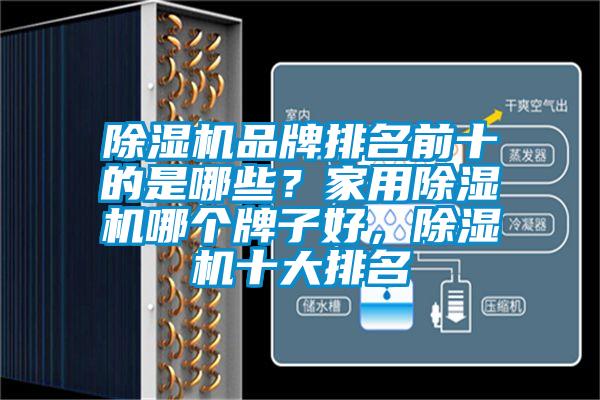 除濕機(jī)品牌排名前十的是哪些？家用除濕機(jī)哪個(gè)牌子好，除濕機(jī)十大排名