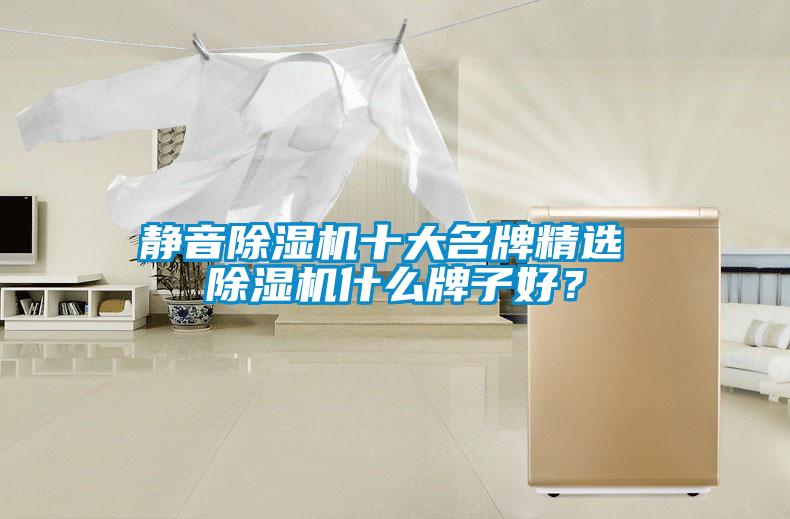 靜音除濕機(jī)十大名牌精選 除濕機(jī)什么牌子好？