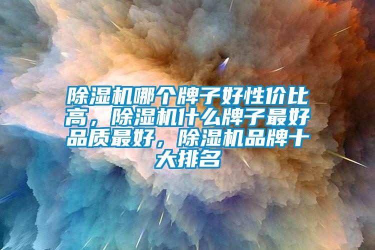 除濕機(jī)哪個牌子好性價比高，除濕機(jī)什么牌子最好品質(zhì)最好，除濕機(jī)品牌十大排名